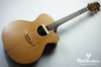 Takamine NPT-010 | Red Guitars Online Store